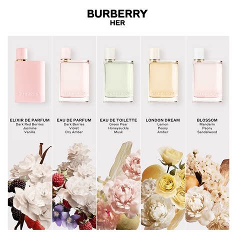 burberry heir perfume